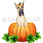 Celebrate Halloween Dane style with this Great Dane Jack-O-Lantern, or Dane-O-Lantern. Danes-R-Us artwork features a sweet pup in a pumpkin with a bit of pumpkin cap on his head. Happy Howloween!
