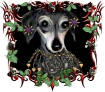 This wild little dachshund is pierced, tattooed, and has plenty of enhanced attitude to match the abundance of sass it already has. Come on, have you ever met a humble one of these dogs? They don't come in humble.