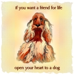 Looking for unconditional love that won't die out? Here's a shirt with a loyal looking hound and the words: "If you want a friend for life, open your heart to a dog." Great gift for a dog lover. They'll understand immediately.