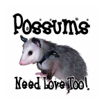 Possums Need Love Too design by Deleas Kilgore for all the opossum lovers out there. Available on a large variety of apparel, t-shirts and gift items.