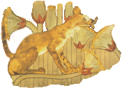 The ancient Egyptians took their cats on hunting excursions instead of dogs, The most popular excursions being the marshes where cats may have been trained to retrieve fowl and fish.
