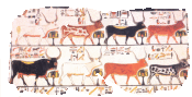 The seven sacred cows represent the goddess of fate and the bull of the West provides nourishment for Nefertari in the afterlife. This is only a very small part of a murel.