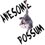 Awesome Possum has a new slant on life - design by Deleas Kilgore. Available on a large variety of apparel, t-shirts and gift items. Back logos are not on this section of items.