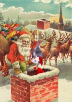 So how does Santa really get down all those chimneys? That's right, he doesn't - he sends his secret possum helper! Merry Christmas!