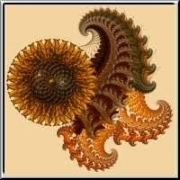 Leaflike fractal shapes in browns, gold and greens decorated with a sunflower rosette. A colorful, unique design perfect for people that like floral designs, as well as fantasy shapes and ornaments.