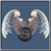 Delicate fractal shapes looking like wings that embrace a shield made of a grunge orb with decorative patters. A fantastic design for people that love the unique and unusual.