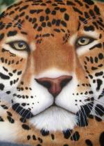 The Jaguar was a revered figure in many Central and South American cultures. Wildlife artist Kathie Miller has captured this big cat among the ruins of an ancient temple using the airbrush.