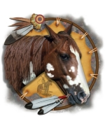 A Native American War Pony design decorates this shield, and makes it an excellent design for all who love horses, and all who respect Native American cultures. Great detail and realism are prime ingredients in this beautiful design. Get yours now!