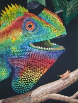 <script type="text/javascript" src="http://www.australele.com/expand/embed.php?ID=EX_49330b42ca074"></script><noscript></noscript>