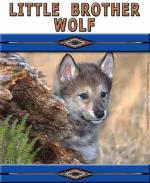 Little Brother Wolf is a Native American style design with a cute blue-eyed wolf pup peeking out from behind a fallen log. A perfect gift for any wolf lover, young or old!
