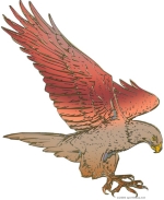 A flying coppery Eagle, sacred to many Native American tribes, is a grand design to embellish a t-shirt as a gift, or get one for yourself! Don't forget to have a look at the Glass Cutting Boards, BBQ apron, Mousepad, Jumbo Tote Bag & Coasters, too!