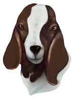 Boer Goat Breeders will love these goat t-shirts- Great gifts for Birthdays, Mother's Day, Father's Day, unique Easter gift giving too. Goat Breed T-shirts for Goat Lovers. GetYerGoat