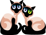Siamese Cat gifts, apparel, tee's and sweat shirts. We love pets and know you love cats like family. Links to cat watches, jewelry, travel mugs & more! <a href="http://www.bonfiredesigns.com">Bonfire Designs</a>