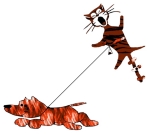 Dog lovers everywhere will get a chuckle of this happily running dog with a cat kite.