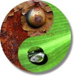 Industry against nature. Rusty metal against the beauty of a crystal clear drop of water on a leaf. Life is full of opposites. This design keeps it all in perspective.