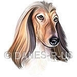 Red Afghan Hound Head Study artwork from Danes-R-Us. Elegant and Noble this dog art is sure to please the hound lover on your gift list or treat yourself.