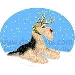 This Airedale Terrier Reindeer is ready for Christmas with his glowing red nose, dressed up in a set of antlers and wearing a collar with jingle bells.