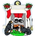 These two Berners thought they'd seen everything. But what's this, A late night visitor? Santa Drops In. And what a way to enter! Good humour for Bernese Mountain Dog lovers and Christmas fun for all!