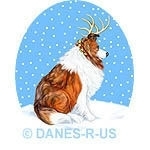 These Collies are dressed in a set of antlers and a red collar with jingle bells - sure to be a holiday favorite for any Collie Lover. The Collie Deer are available in Blue Merle, Sable & Tri Color