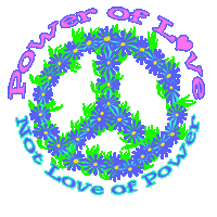 Wear this peace sign t-shirt that is surronded by flowers and with the message Power of Love not Love of Power. A sweet but powerful message. BUY 2 OR MORE AND SAVE!