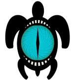 Black sea turtle with a bright blue cat's eye on its back. Sea turtle art.