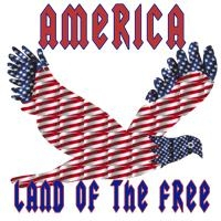 Freedom of speech is the American privilege. 4th of July, Independence day or anyday. Wear the stars and stripes in unique designs. Goddess Bless America, American Eagle all symbloized with the american flag pride. BUY 2 OR MORE OF SAME DESIGN AND SAVE!