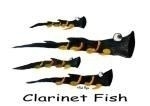 clarinet fish
