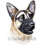 Taken from my original colored pencil drawing and digitally enhanced for superb print output - German Shepherd Dog head study bust art work is sure to please any GSD Lover or Dog Lovers of all kinds.