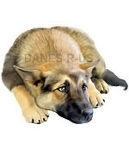 German Shepherd Puppy is lying sweetly and patiently waiting, maybe for a tidbit of food or a pet - such a sweet baby. Perfect for Dog or GSD Lovers!