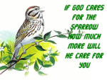 God really cares about us. He knows every detail of our life. Even before the foundation of the earth, He knows that we will exist on this earth for such a time as this.