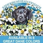 This Great Dane Puppy is poking his head up from the daffodils to say Hi. Available in black blue brindle fawn harlequin mantle merle & boston merle.