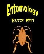 This creepy college biology shirt design shows a giant, creepy cockroach, and has the caption: "Entomology Bugs Me!"