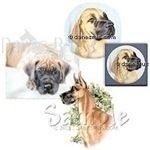 Misc. Designs featuring ALL fawn Great Danes.