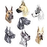 Regal Head Study of Various goat colors including Brindle, Fawn, Harlequin, Merle, etc.. some with cropped ears, some uncropped... Models Welcome
