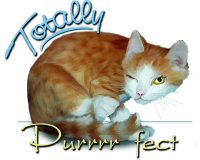 This winking kitty knows that it is totally perfect as the discriptive words say. Totally Purrrrrfect. Irresistable to any cat lover old or young. Makes a positive statement to remind yourself you are perfect, as God/Goddess made you, yes?