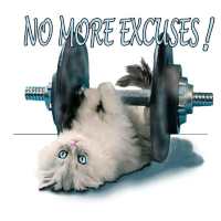 Time to get motivated on your fitness program! This cute weight lifting kitten with the words no more excuses says it all! All cat lovers and exercise buffs will love wearing this on sweat shirts and t shirts Buy 2 or more and save.