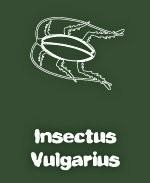 This whimsical biology shirt design uses pseudo-Latin to label the image of a disgusting cockroach. Below the disturbing image of the giant cockroach is the label: "Insectus Vulgarius."