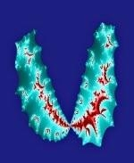 This "Coral Visions" computer artwork t-shirt design looks like a string of volcanic islands within an azure sea. A very decorative design for the pocket area of any shirt design.