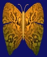 Spread your wings with this beautiful butterfly shirt design on women's and kids shirts. The butterfly wings spread across the entire image area.