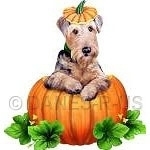 Adorable Dale-O-Lantern is perfect for Halloween or Autumn fashion. Decorate yourself or your home with this Airedale Terrier in a pumpkin with a bit of a pumpkin cap on his head.
