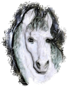 A gentle white horse with a dreamy look... maybe she is the horse of your dreams. A beautiful imge to keep or give as a gift on t-shirts,bags,mousepads and housewares.