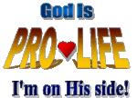 Biblical - provocative - powerful