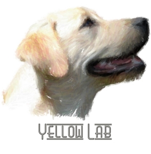 Yellow Labrador Retrievers! For all lab lovers and all dog lovers, this happy doggie will smile his way into your heart. See him on t-shirts,bags,hoodies,mousepads and housewares. A great gift! (with text)