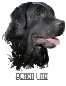 Black Labrador Retrievers! For all lab lovers and all dog lovers, this happy doggie will wag his way into your heart. See him on t-shirts,bags,hoodies,mousepads and housewares. A great gift! America's favorite dog!
