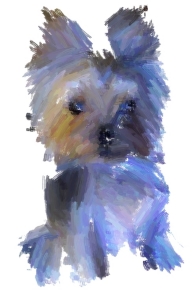 Yorkshire Terrier - big heart in a small package. Always cute, even when being naughty! For all Yorkie lovers see this adorable little doggie on t-shirts,bags,mousepads and household gifts.