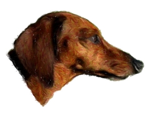 Who can resist an adorable wiggly little wiener dog?For all Dachshund lovers, dog lovers and animal lovers! Our t-shirts,bags,mousepads,housewares all make great gifts!