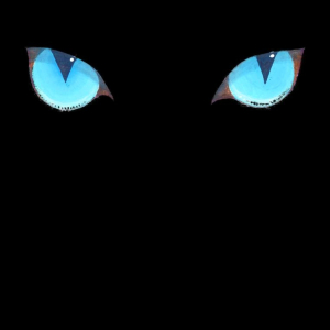 Eyes only! Hypnotic blue eyes mesmerize and enchant you. The feline goddess will be obeyed!
Great gift for all your pagan,wiccan and magical friends. T-shirts,bags,mousepads.
