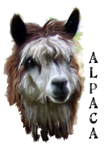 The beautiful Alpaca, at home high in the Andes Mountains of Peru and Bolivia. A treasured gift for all animal lovers. T-shirts,mousepads,hoodies,bags,housewares.