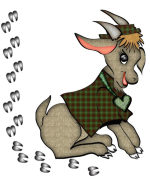 Little hoof prints surround this cute little boy goat in his green plaid shirt - on the back are hoof prints as well.