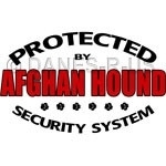 Let people know not to MESS with YOU 'cause you're "protected" by a walking, barking, four legged Afghan Hound Security System. From Danes-R-Us ©danesrus / danesrus.com